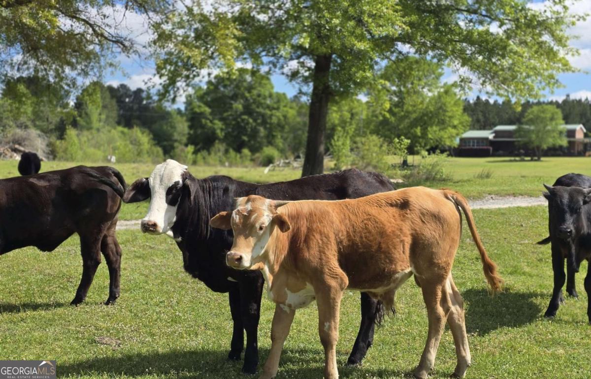 947 Bellhouse Road Macon, GA 31217 - Photo 61 of 100 a view of an outdoor space and yard