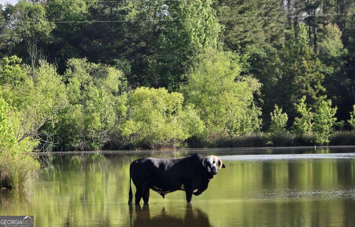 947 Bellhouse Road Macon, GA 31217 - Photo 62 of 100