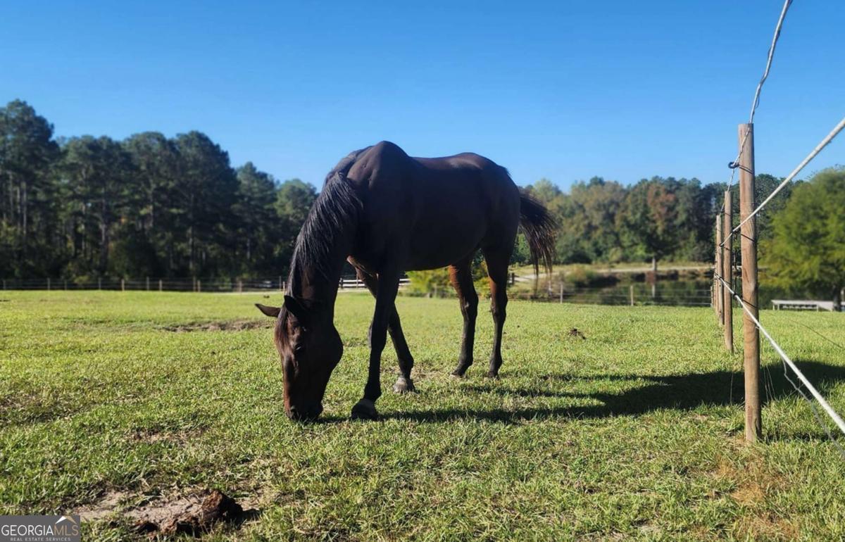 947 Bellhouse Road Macon, GA 31217 - Photo 84 of 100