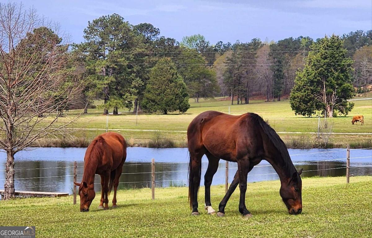 947 Bellhouse Road Macon, GA 31217 - Photo 86 of 100 a view of yard and tree in the background