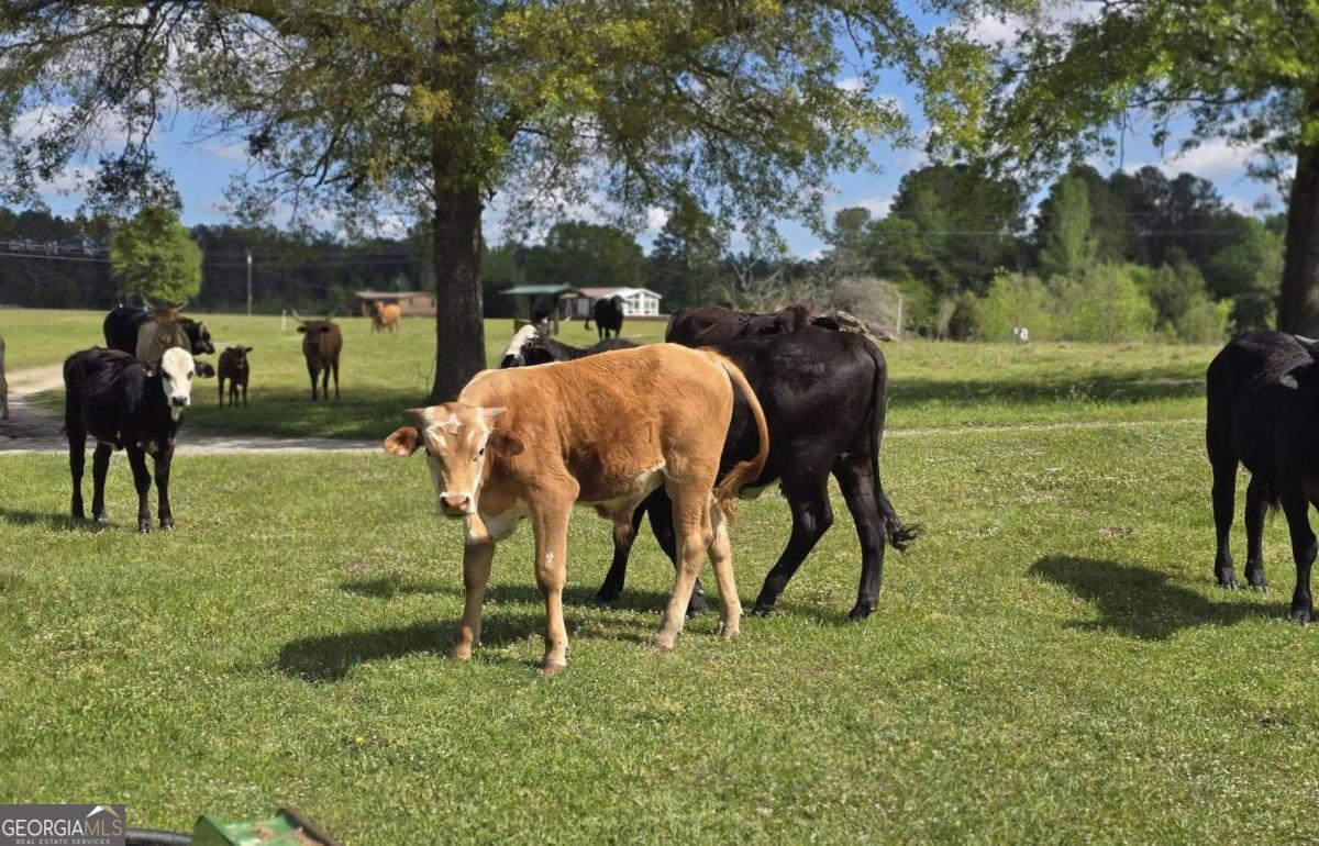 947 Bellhouse Road Macon, GA 31217 - Photo 90 of 100 a view of yard with tree s