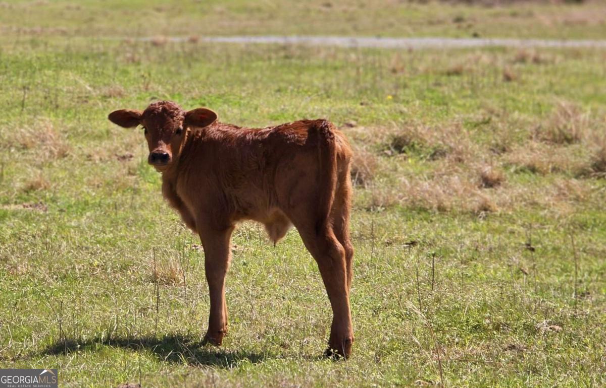 947 Bellhouse Road Macon, GA 31217 - Photo 91 of 100