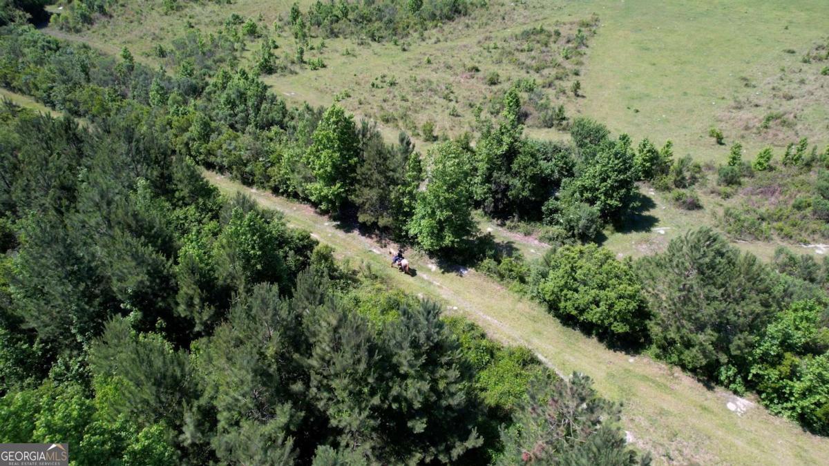 947 Bellhouse Road Macon, GA 31217 - Photo 96 of 100 an aerial view of residential house with outdoor space