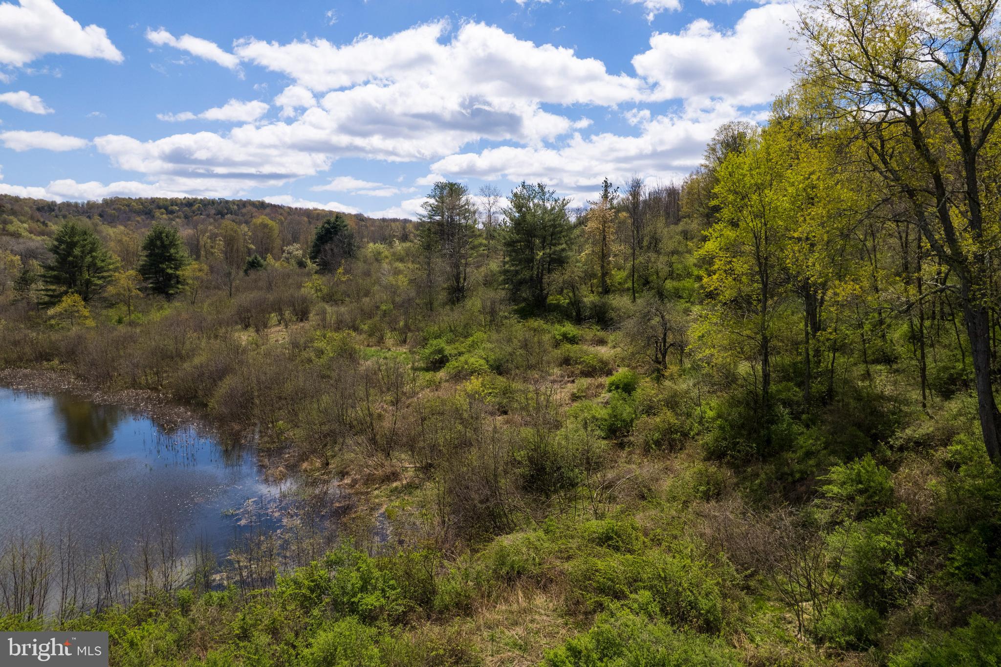 0 Holbrook Road Montrose, PA 18801 - Photo 17 of 147
