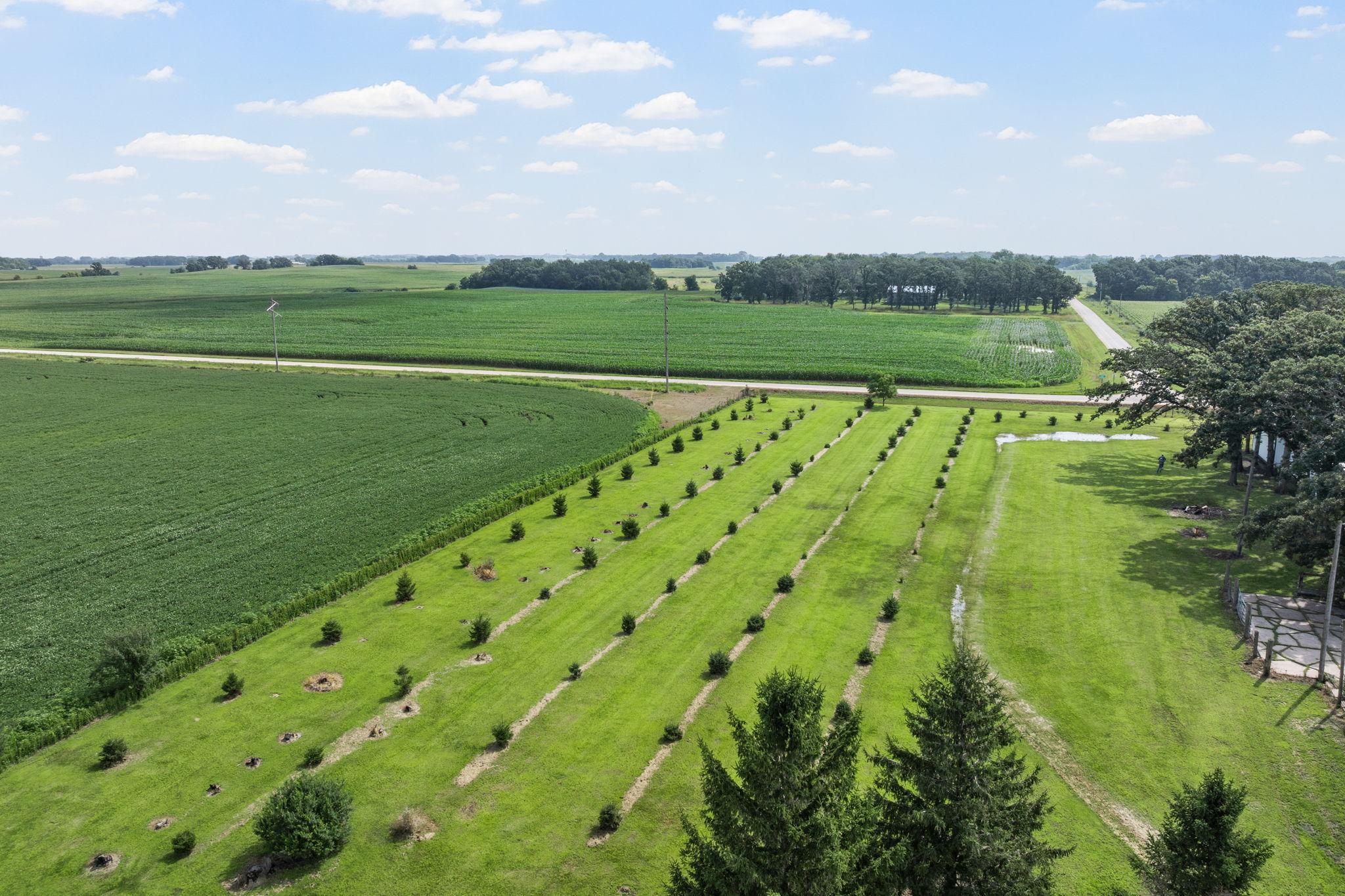 24975 Mower Freeborn Road Austin, MN 55912 - Photo 33 of 81