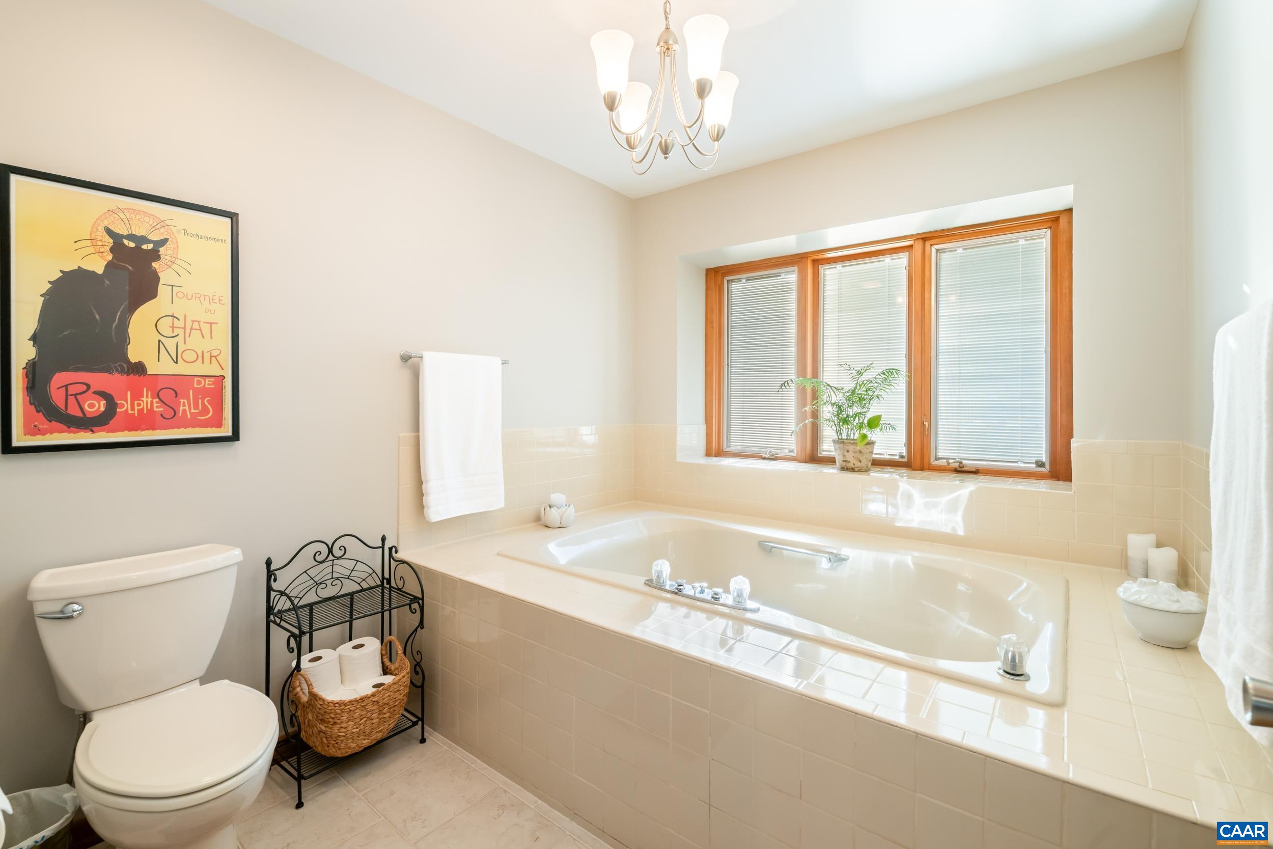 3869 Stony Point Road Charlottesville, VA 22911 - Photo 35 of 58 Soaking Tub