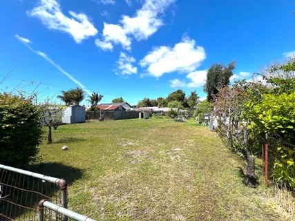 a view of a garden