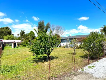 a view of a garden