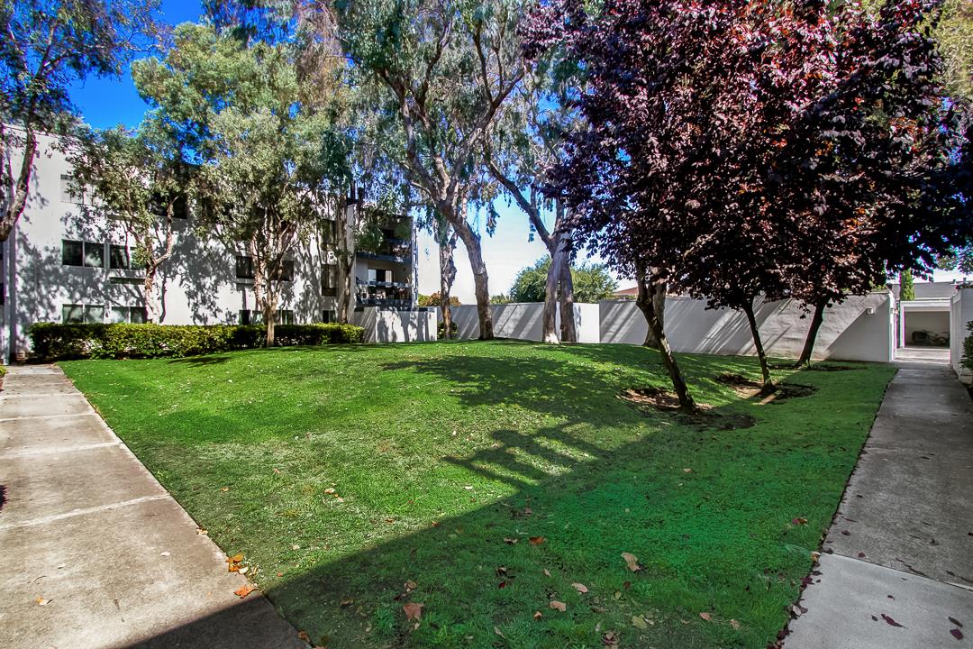 1049 Shell Boulevard, Unit 3 Foster City, CA 94404 - Photo 37 of 56 a huge green field with lots of trees