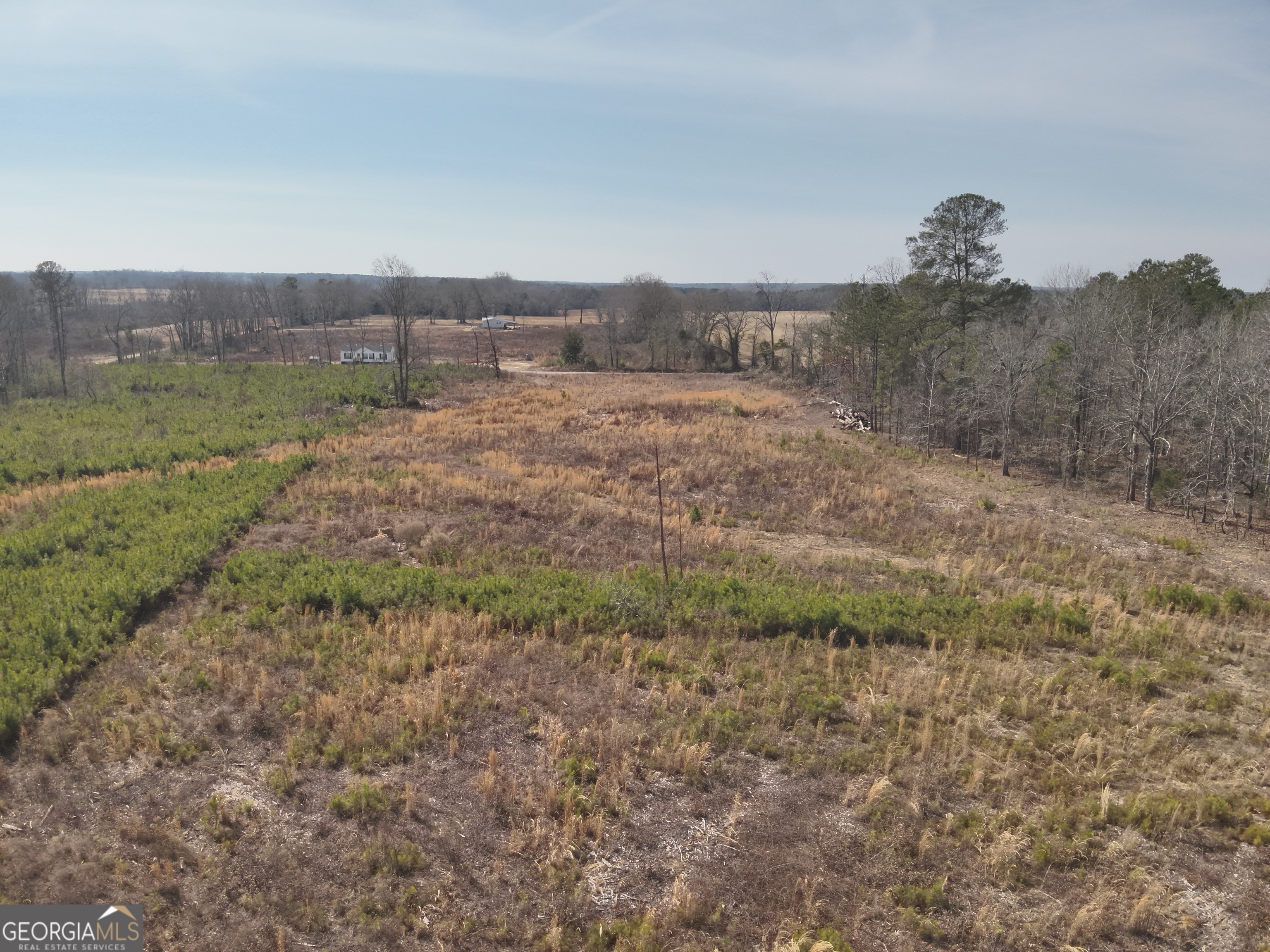1221 Woodland Road Cochran, GA 31014 - Photo 2 of 5 a view of a dry yard with green space