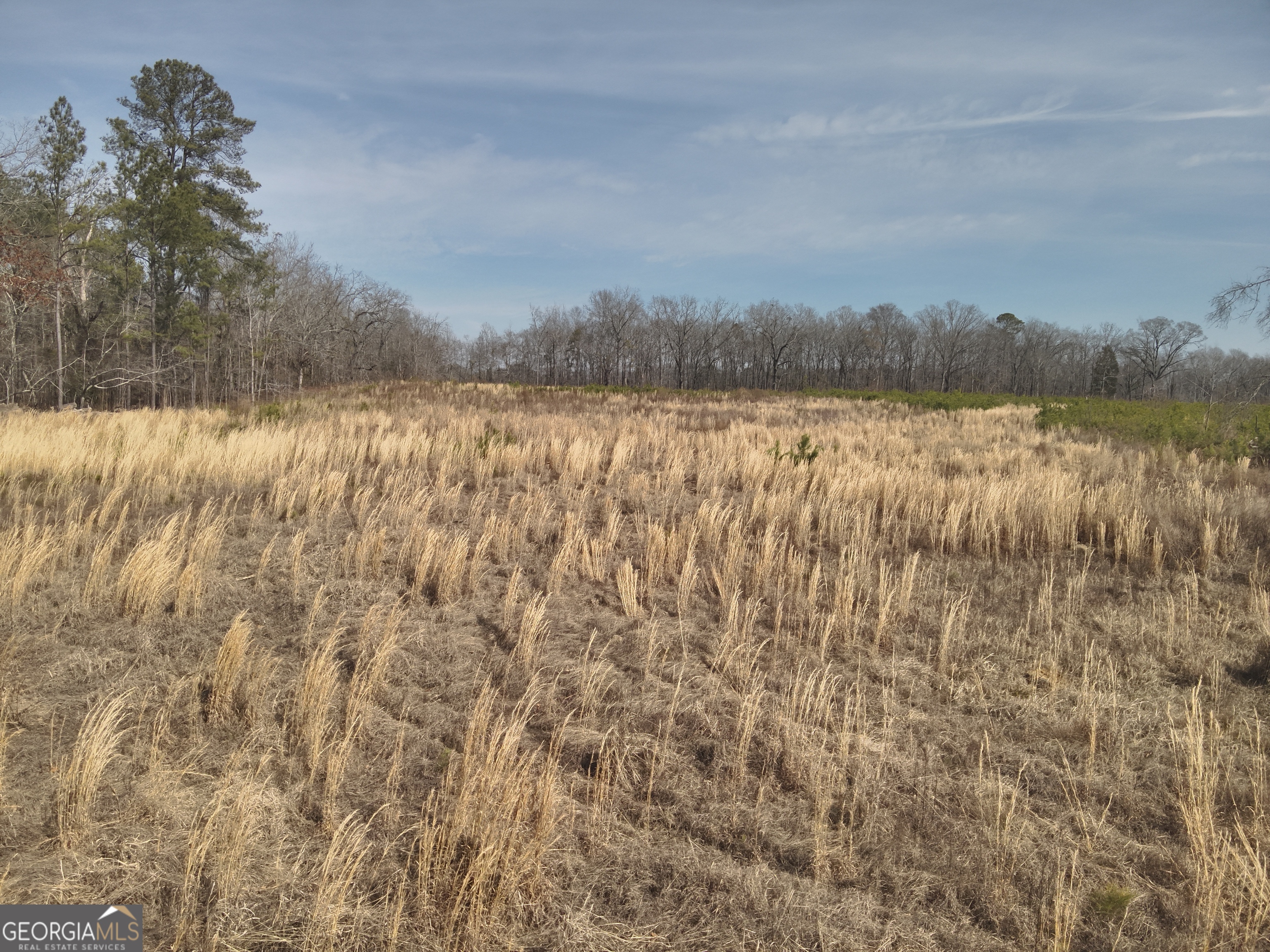 1221 Woodland Road Cochran, GA 31014 - Photo 3 of 5 a view of lake with lots of tress in background