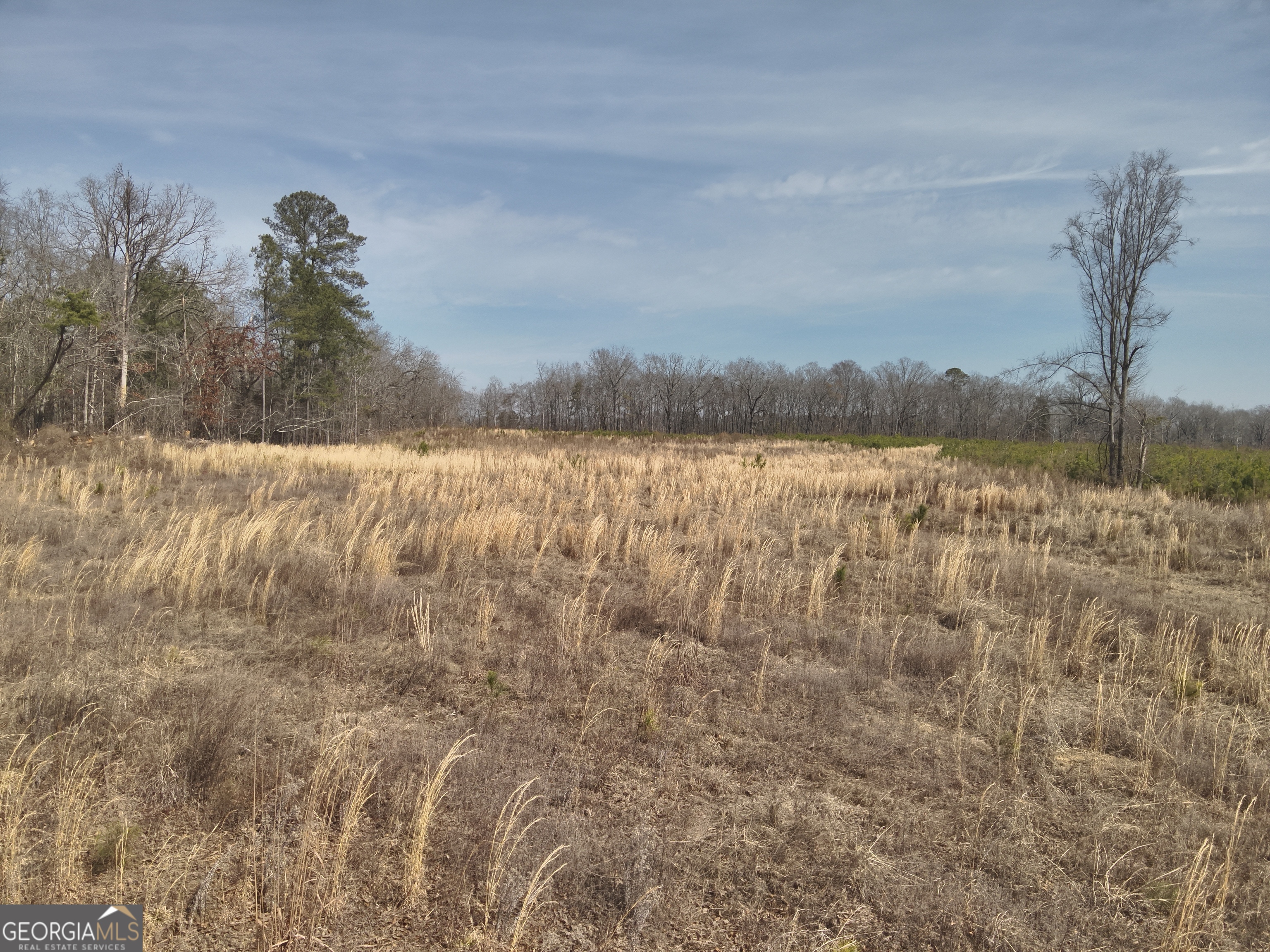 1221 Woodland Road Cochran, GA 31014 - Photo 4 of 5 a view of a lake