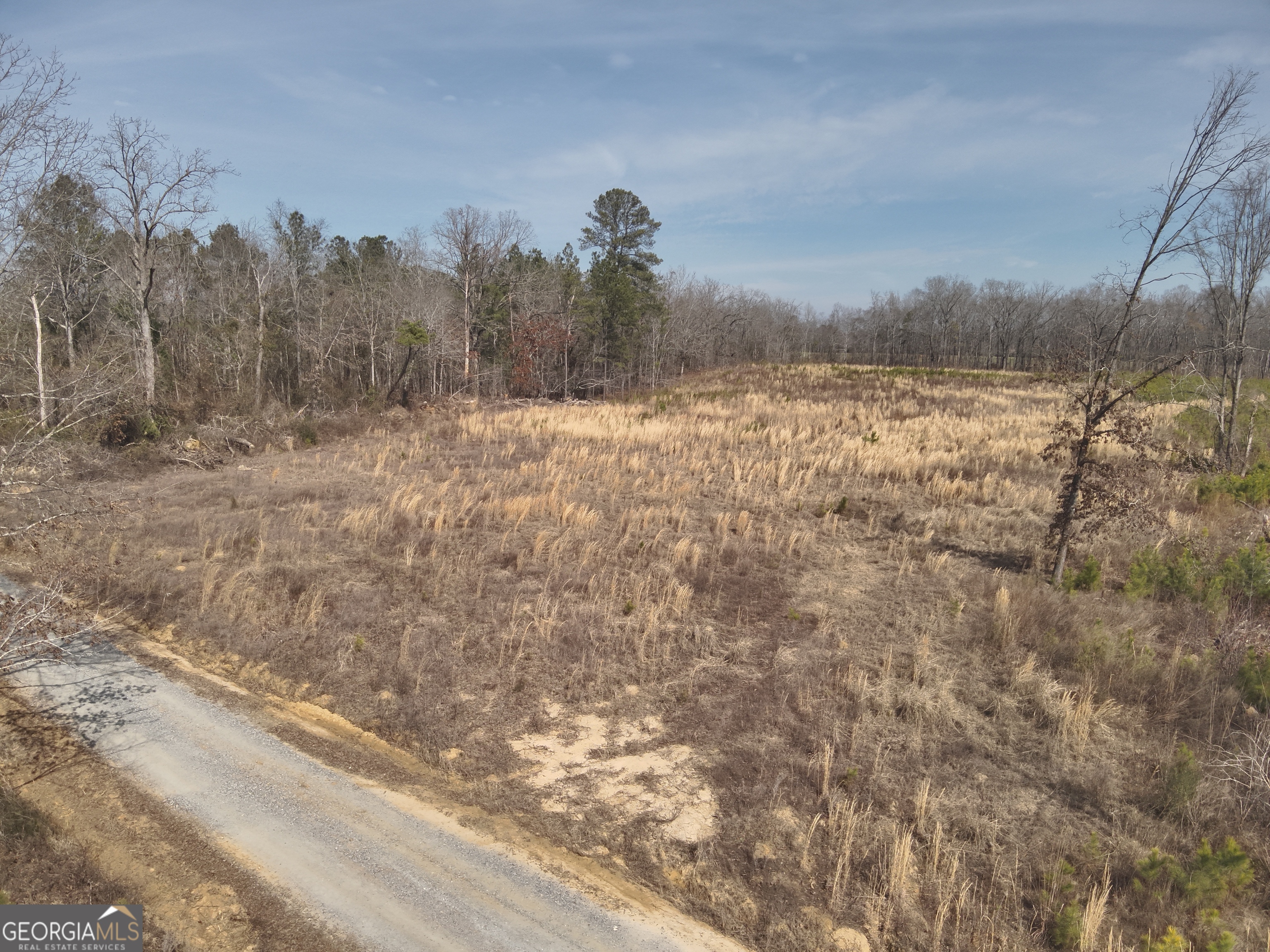 1221 Woodland Road Cochran, GA 31014 - Photo 5 of 5 a view of a lake view