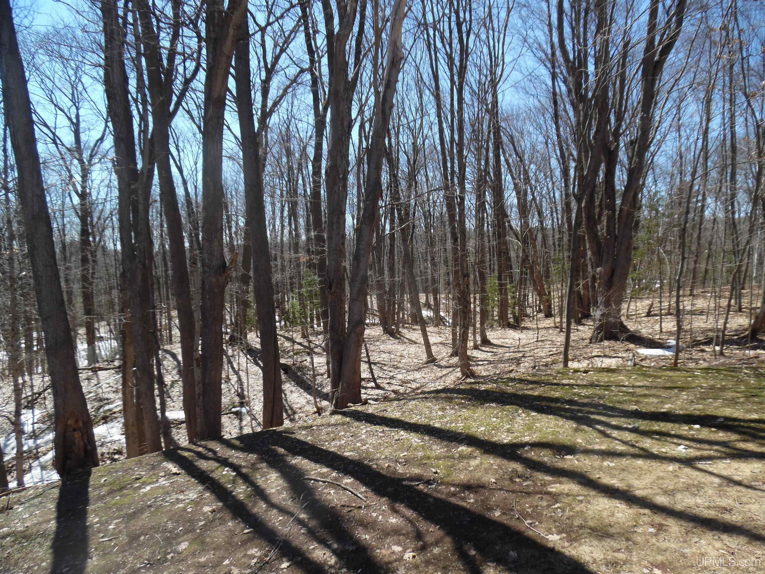 21781 Peepsock Road Houghton, MI 49931 - Photo 31 of 35