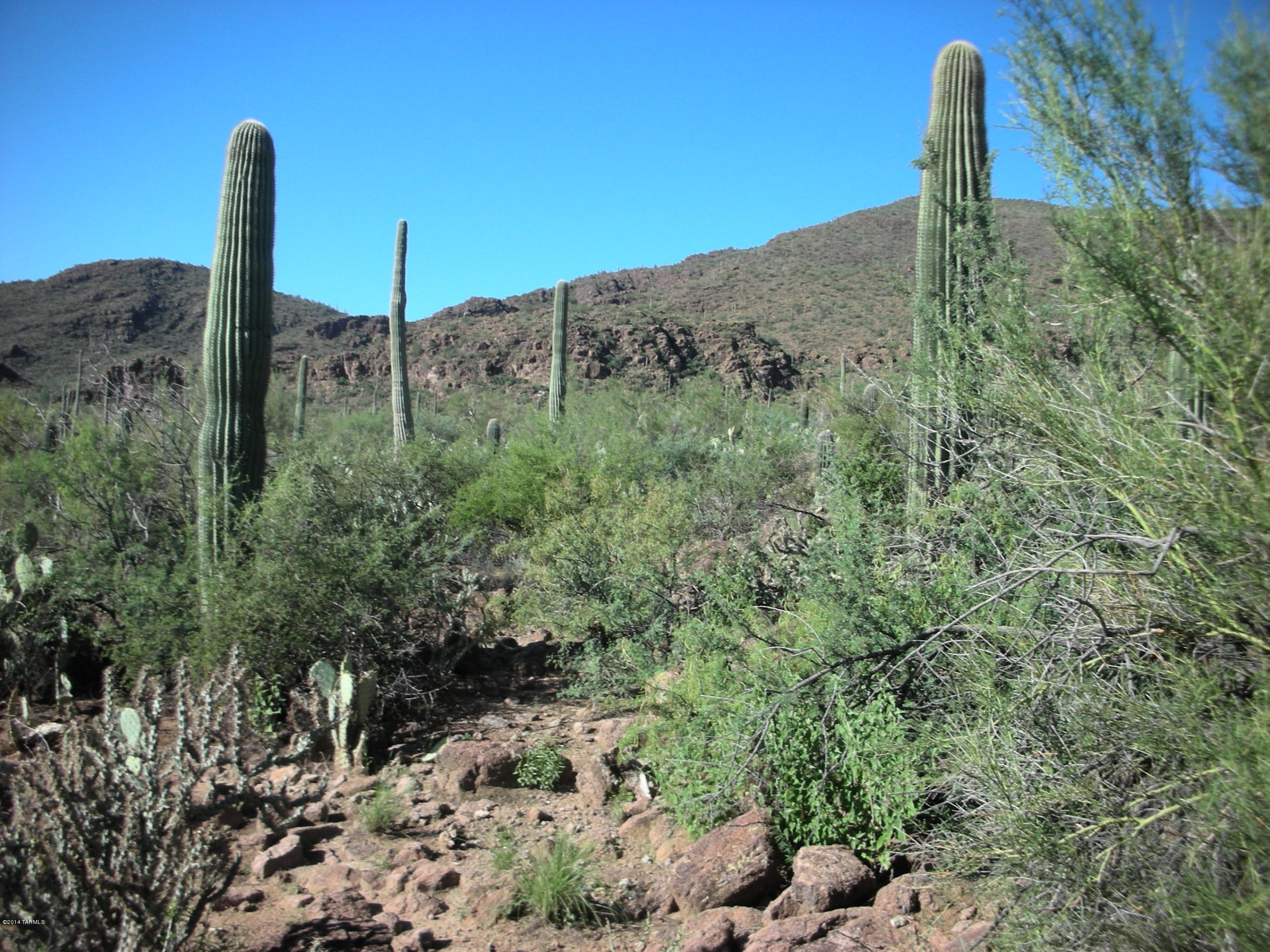 7602 West Ina Road Tucson, AZ 85743 - Photo 13 of 22 Gallery Image 13