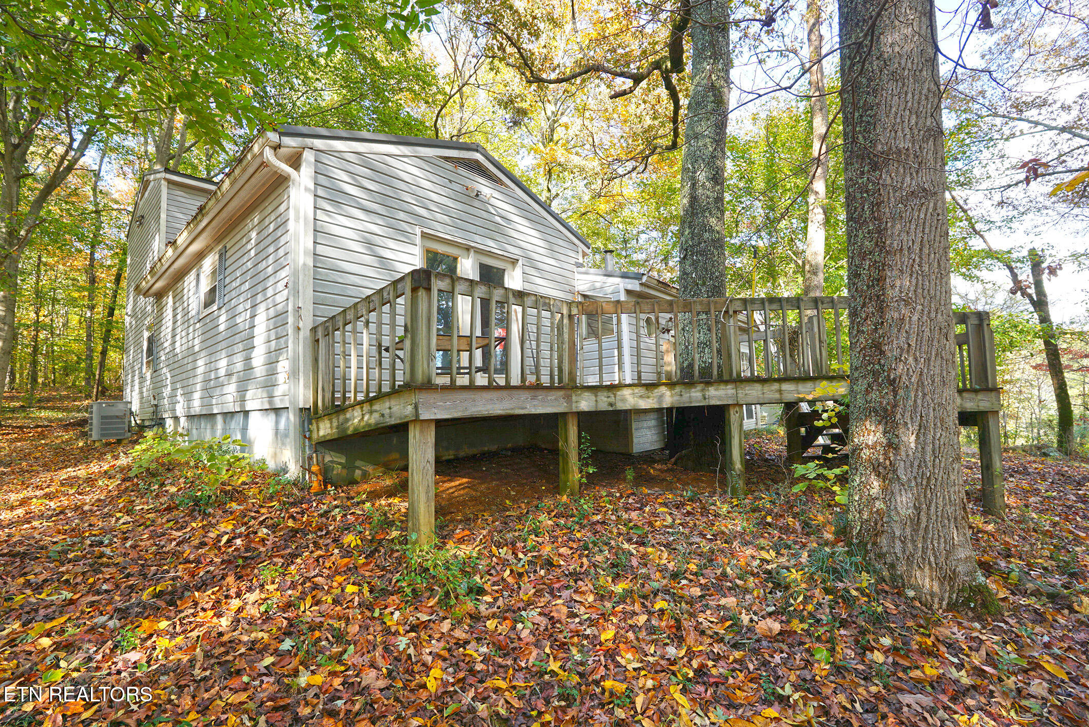 2805 County Road 700 Riceville, TN 37370 - Photo 16 of 25 nine