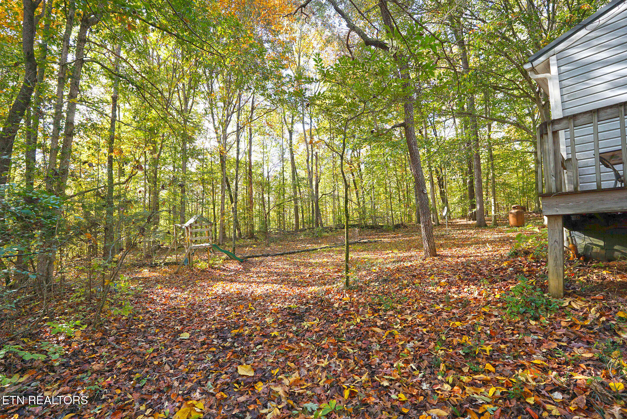 2805 County Road 700 Riceville, TN 37370 - Photo 18 of 25 15