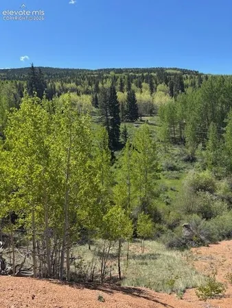 a view of a green field