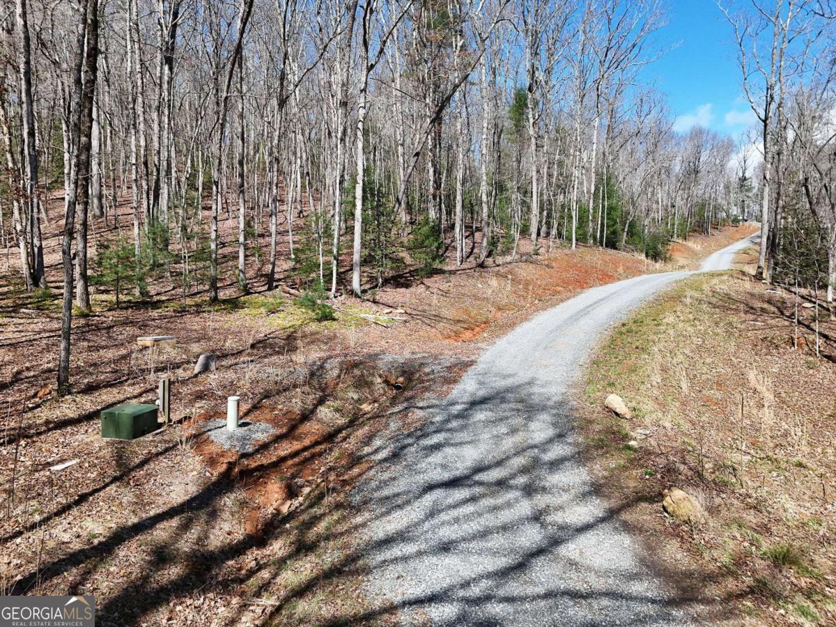 Lot 9 Native Trail Cherry Log, GA 30522 - Photo 5 of 10