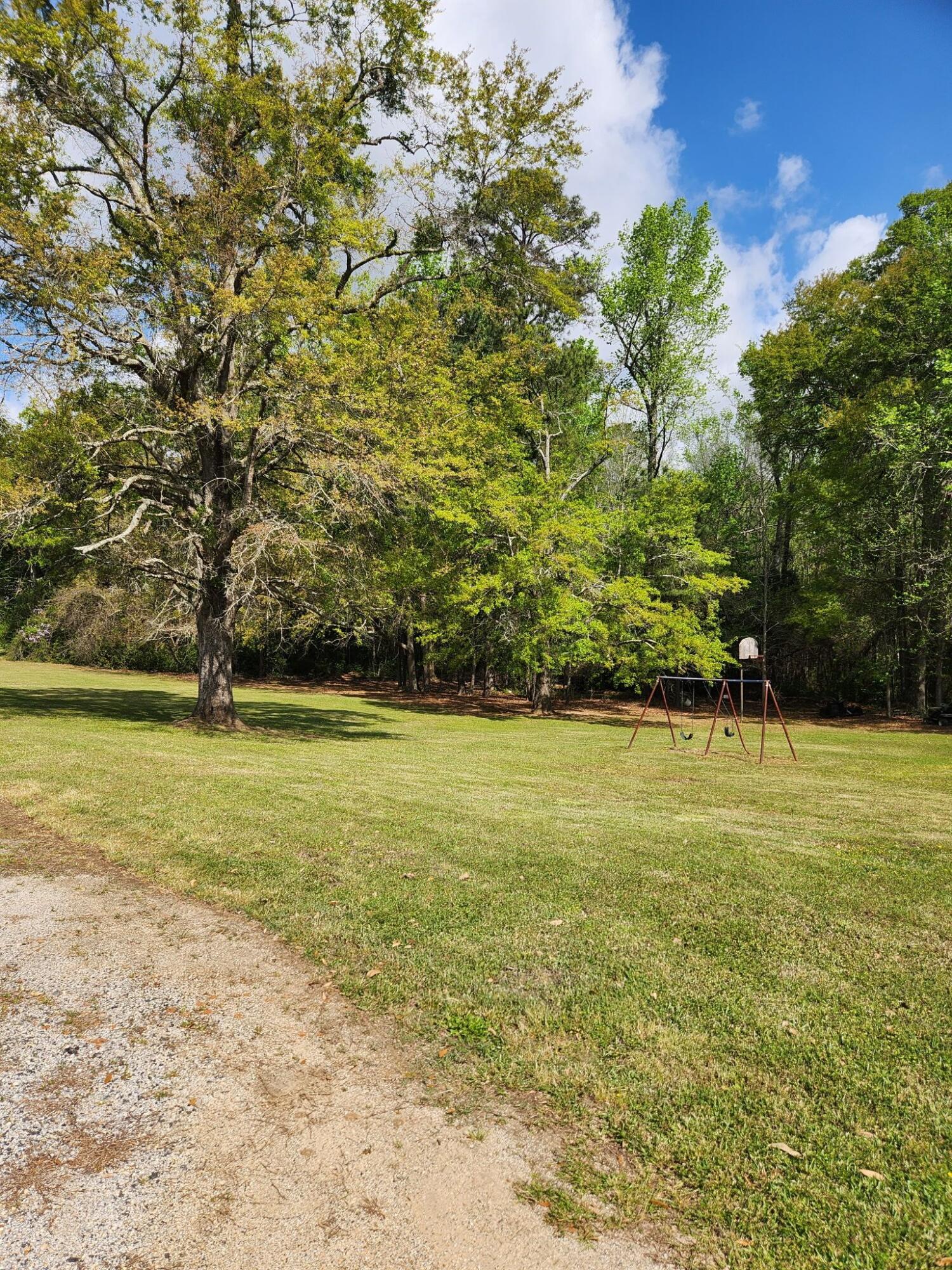 5497 Old Highway, Unit SIX Elloree, SC 29047 - Photo 29 of 30 Huge Backyard