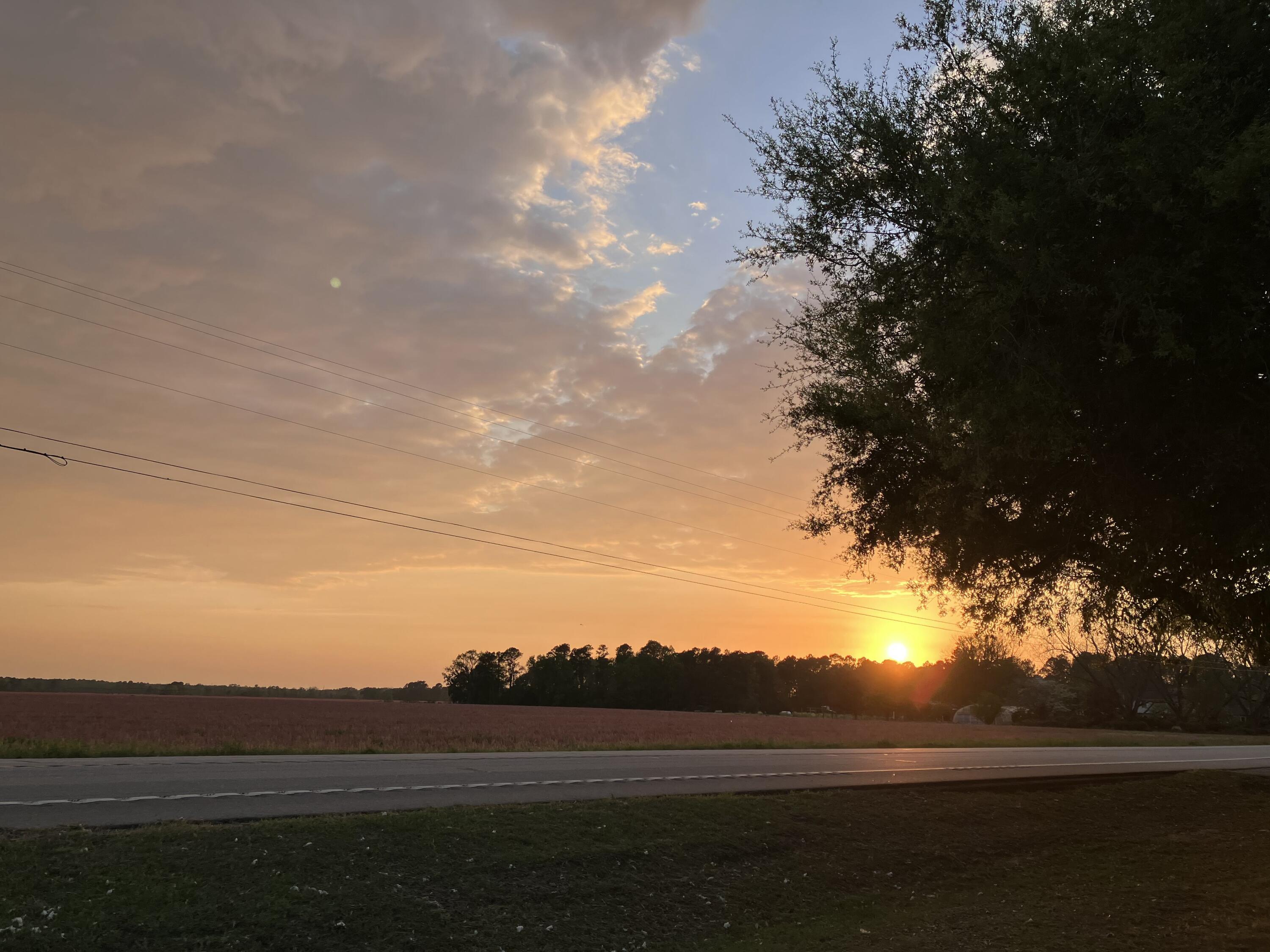 5497 Old Highway, Unit SIX Elloree, SC 29047 - Photo 30 of 30 Gorgeous Sunsets !