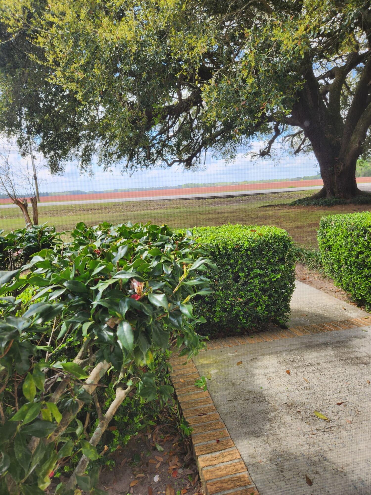 5497 Old Highway, Unit SIX Elloree, SC 29047 - Photo 3 of 30 View across the street