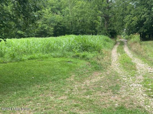1990 Locust Road Milton, KY 40045 - Photo 13 of 21 IMG_7824