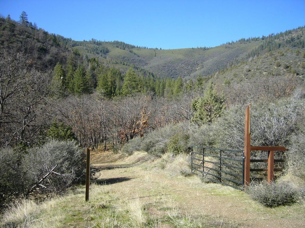20 Acres Scarface Road Gazelle, CA 96034 - Photo 3 of 34 Gallery Image 3
