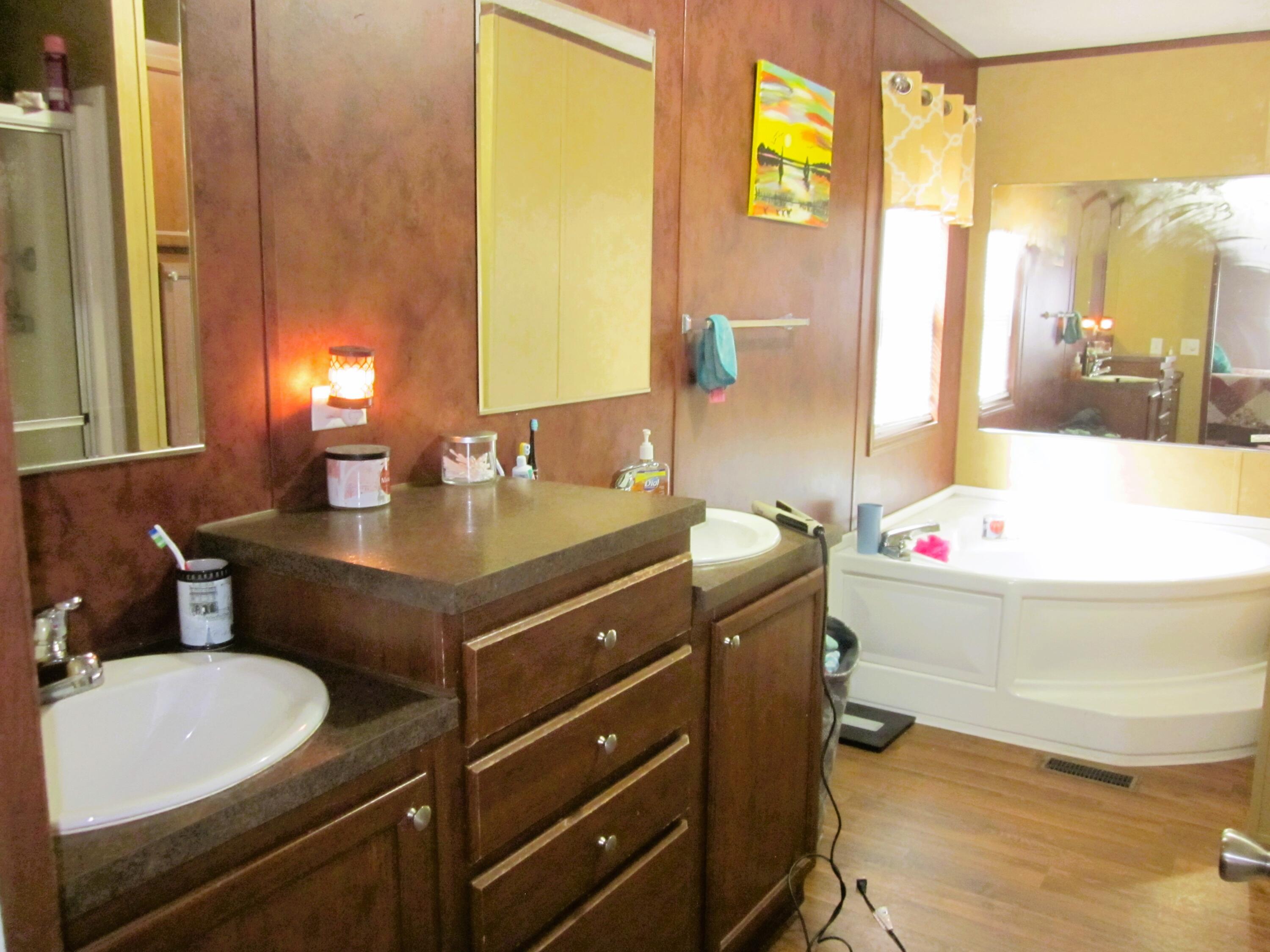 177 Carolina Road Rocky Mount, VA 24151 - Photo 16 of 24 a bathroom with a sink and a mirror