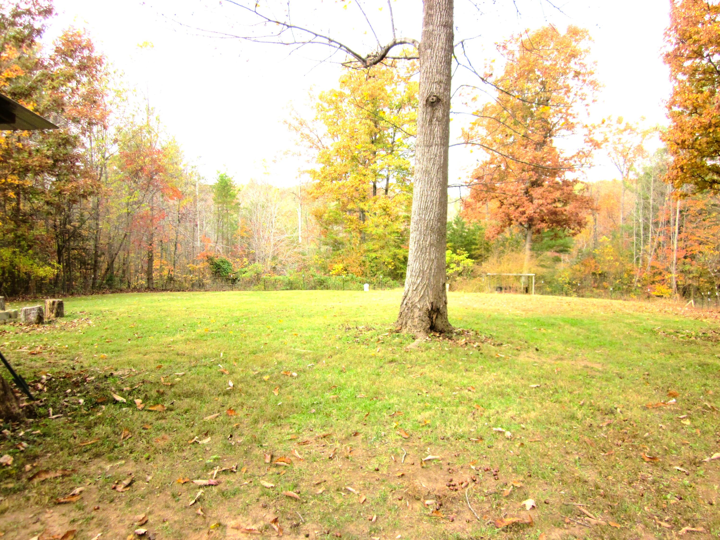177 Carolina Road Rocky Mount, VA 24151 - Photo 24 of 24 a view of yard with swimming pool