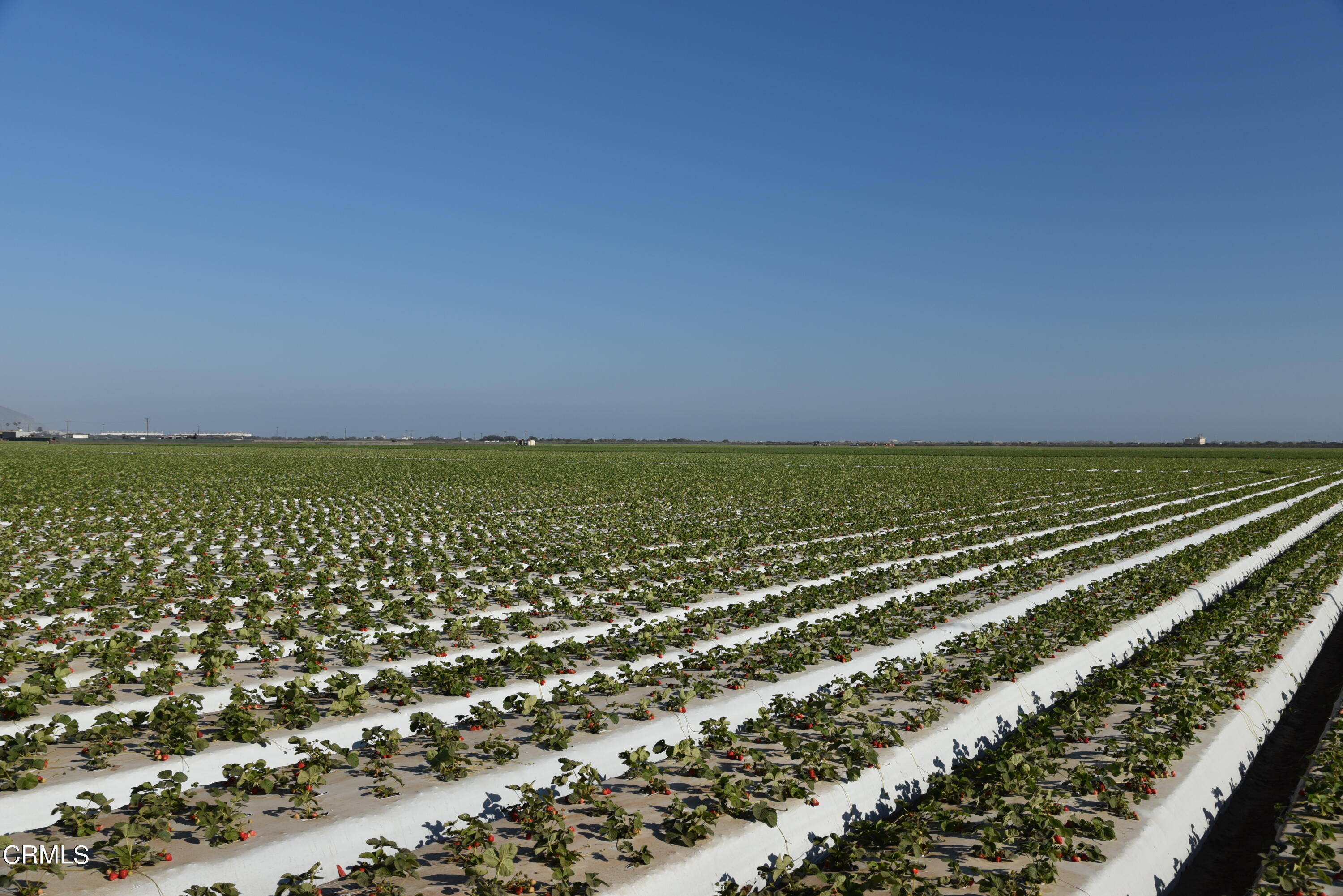 6583 Casper Road Oxnard, CA 93033 - Photo 13 of 14 a view of a city