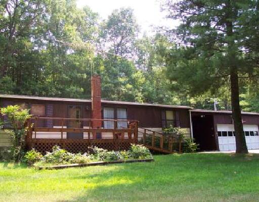 a view of a backyard with plants and large trees
