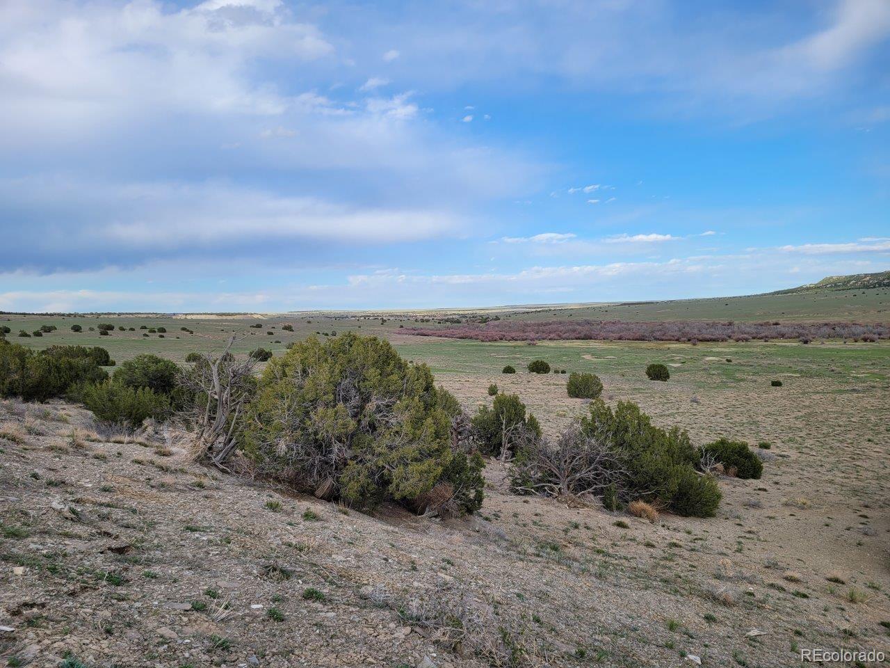 Lot 21 Ghost River Ranch, Unit 1 Rye, CO 81069 - Photo 3 of 9 Gallery Image 3