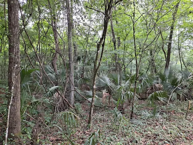 $125,000 | 9550 Northwest 230th Street, Micanopy, FL 32667