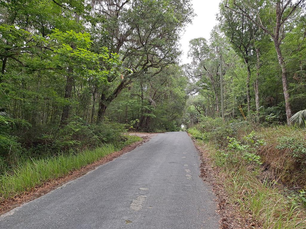 9550 Northwest 230th Street Micanopy, FL 32667 - Photo 9 of 10 a big yard with lots of green space and plants