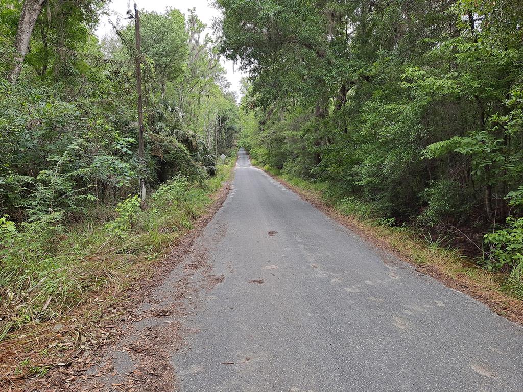 9550 Northwest 230th Street Micanopy, FL 32667 - Photo 10 of 10 a view of a house with a yard