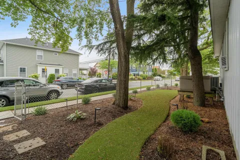 a view of a park that has a tree on the side of the road