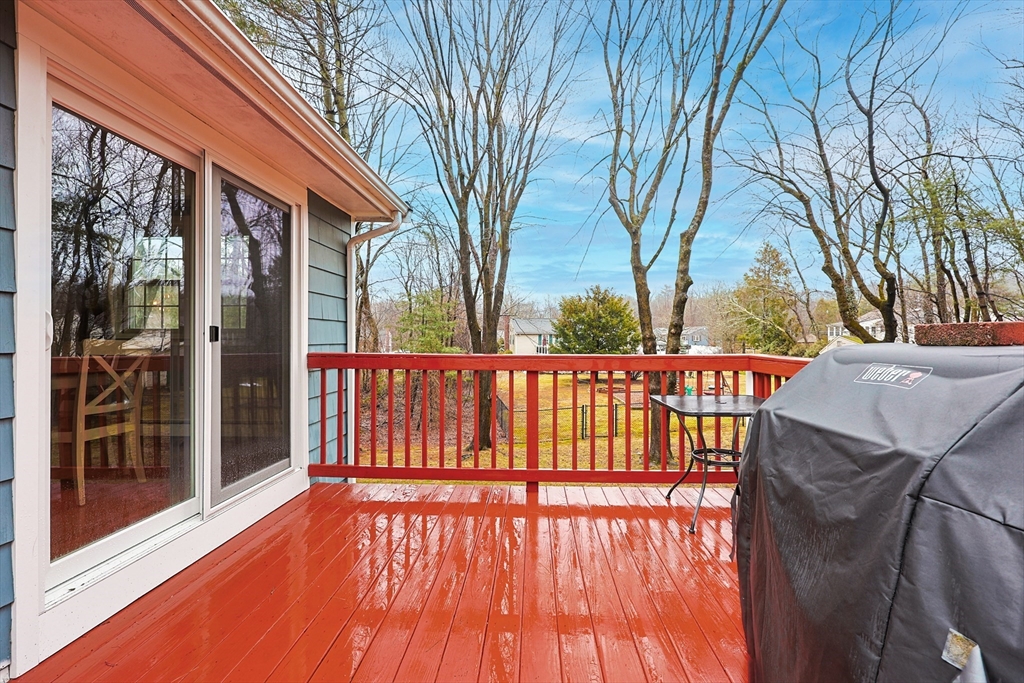 5 Jackson Drive Walpole, MA 02071 - Photo 32 of 37