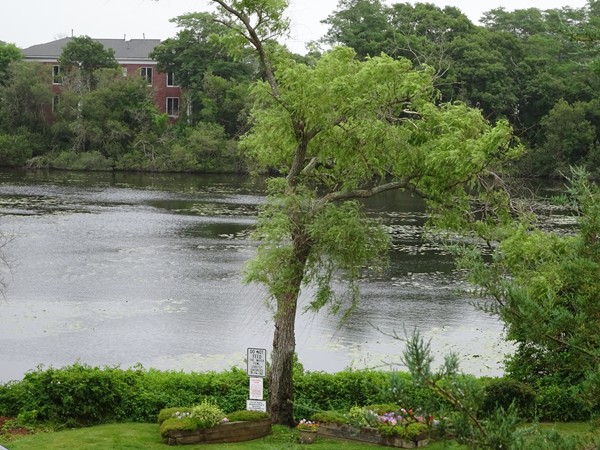 24 Bettys Pond Road, Unit B Barnstable, MA 02601 - Photo 16 of 18 Gallery Image 16