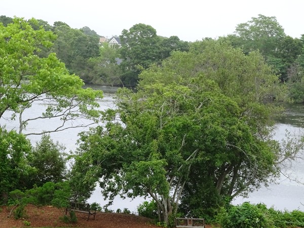24 Bettys Pond Road, Unit B Barnstable, MA 02601 - Photo 18 of 18 Gallery Image 18