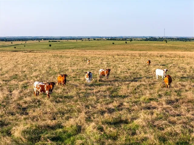 a view of a swimming pool and an ocean