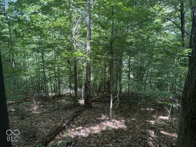 0 Buffalo Pike Road Freetown, IN 47235 - Photo 4 of 15 Gallery Image 4