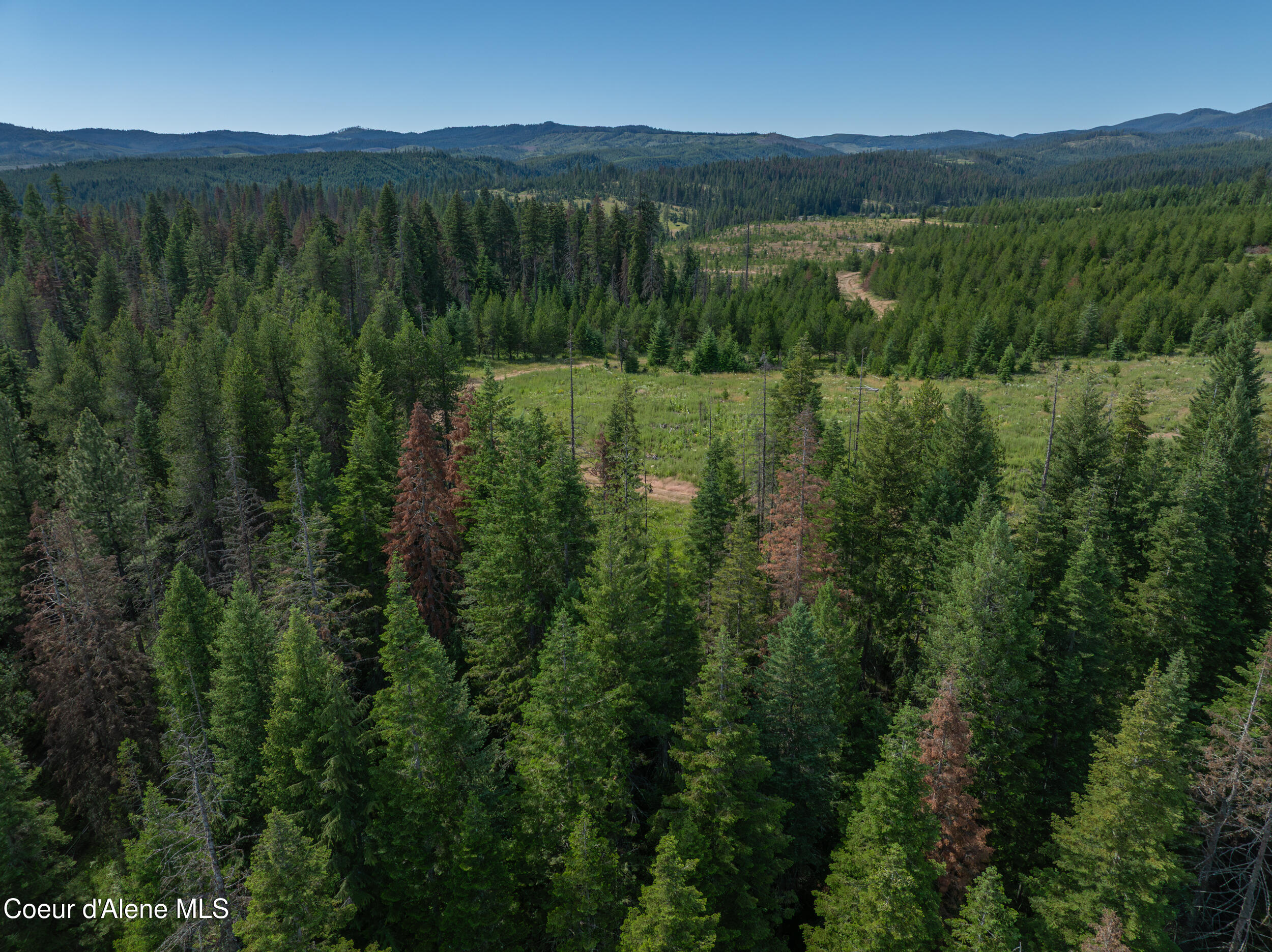 6 Harvard Id 83834 Harvard, ID 83834 - Photo 17 of 32 Cow Creek Tweedy (18 of 29)