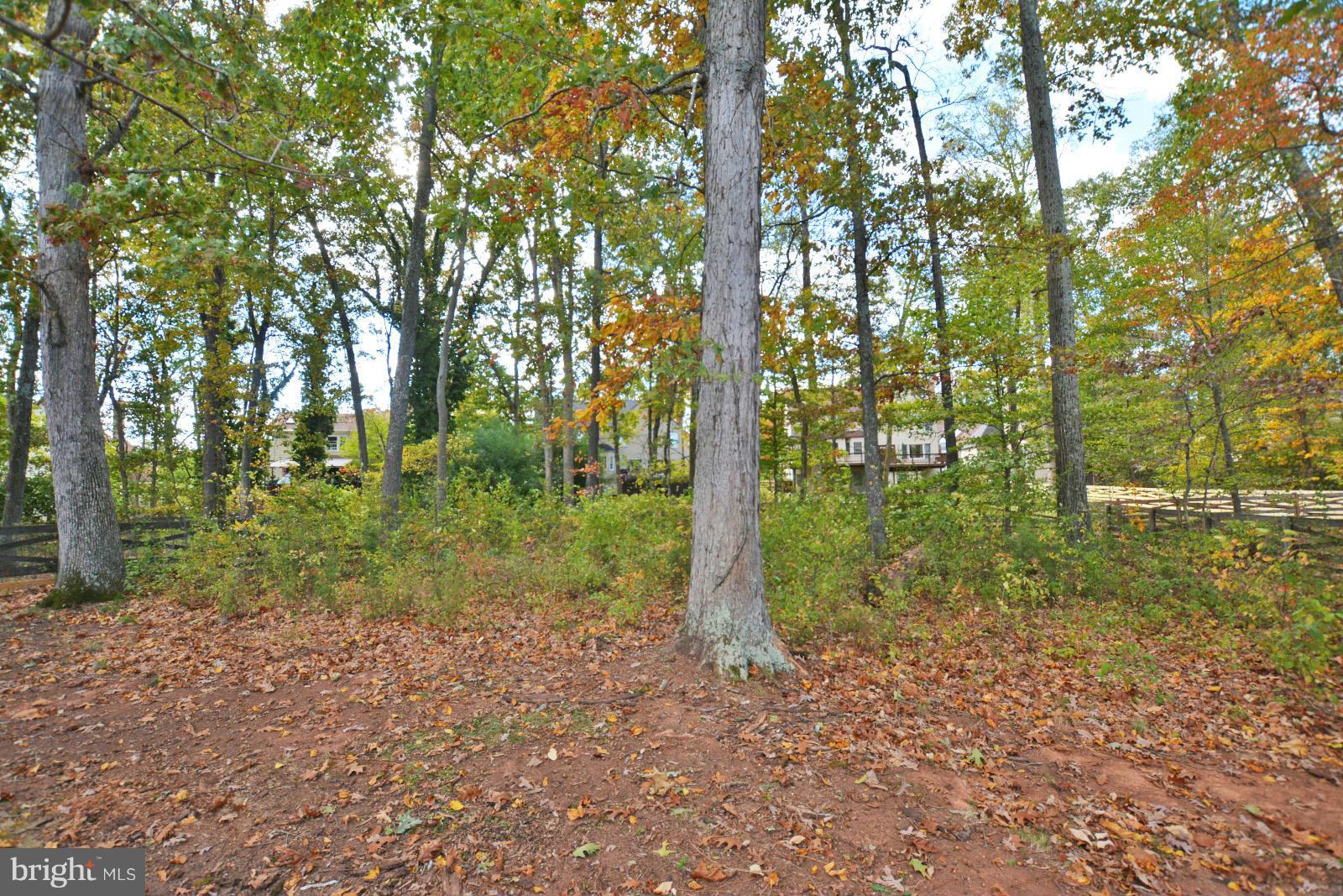 74 Rutherford Circle Sterling, VA 20165 - Photo 27 of 30 Exterior (Rear)