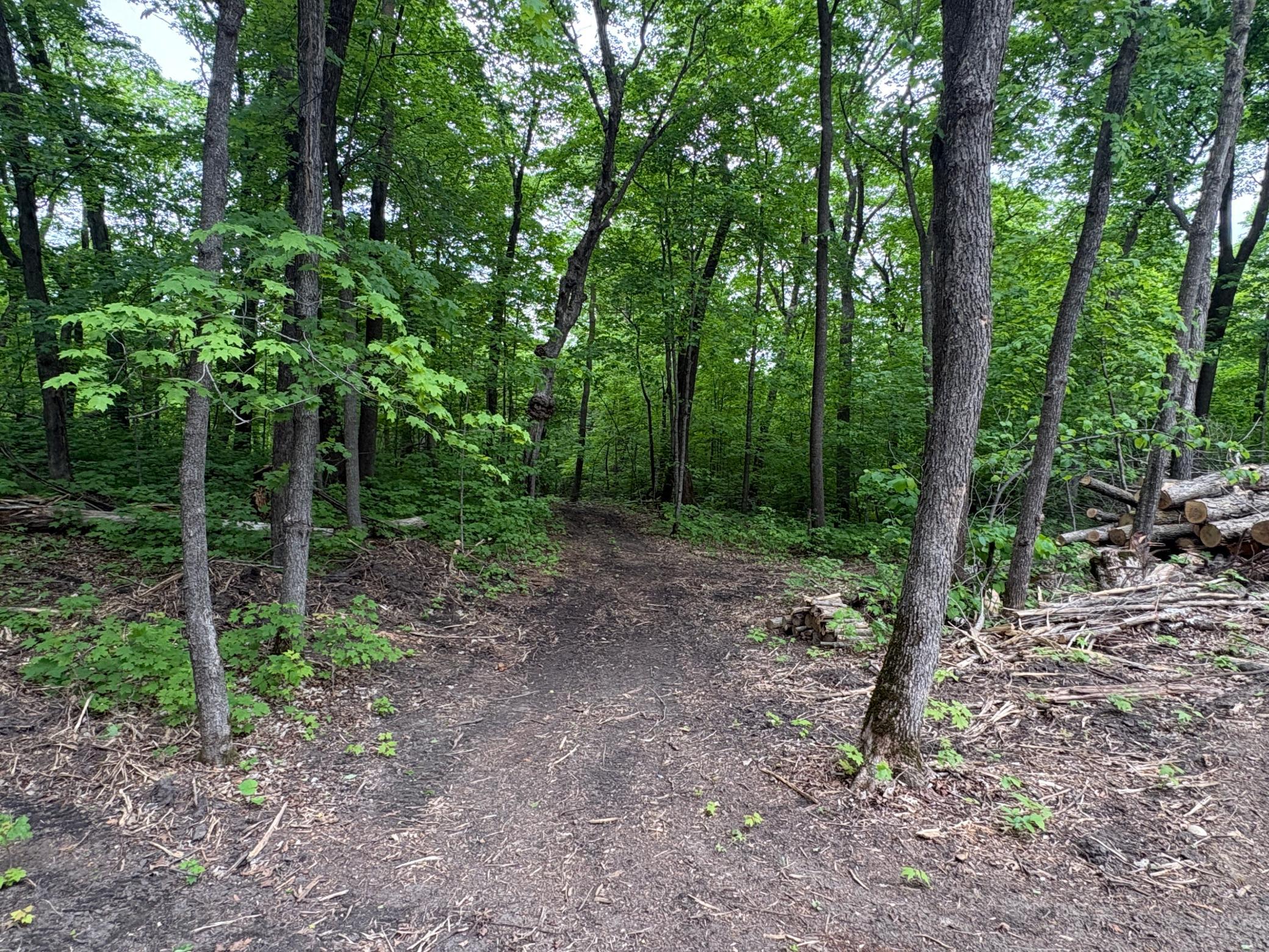 Tbd 380th Street Dent, MN 56528 - Photo 26 of 33