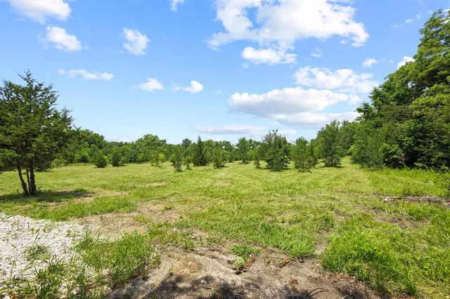 a view of field with trees in the background