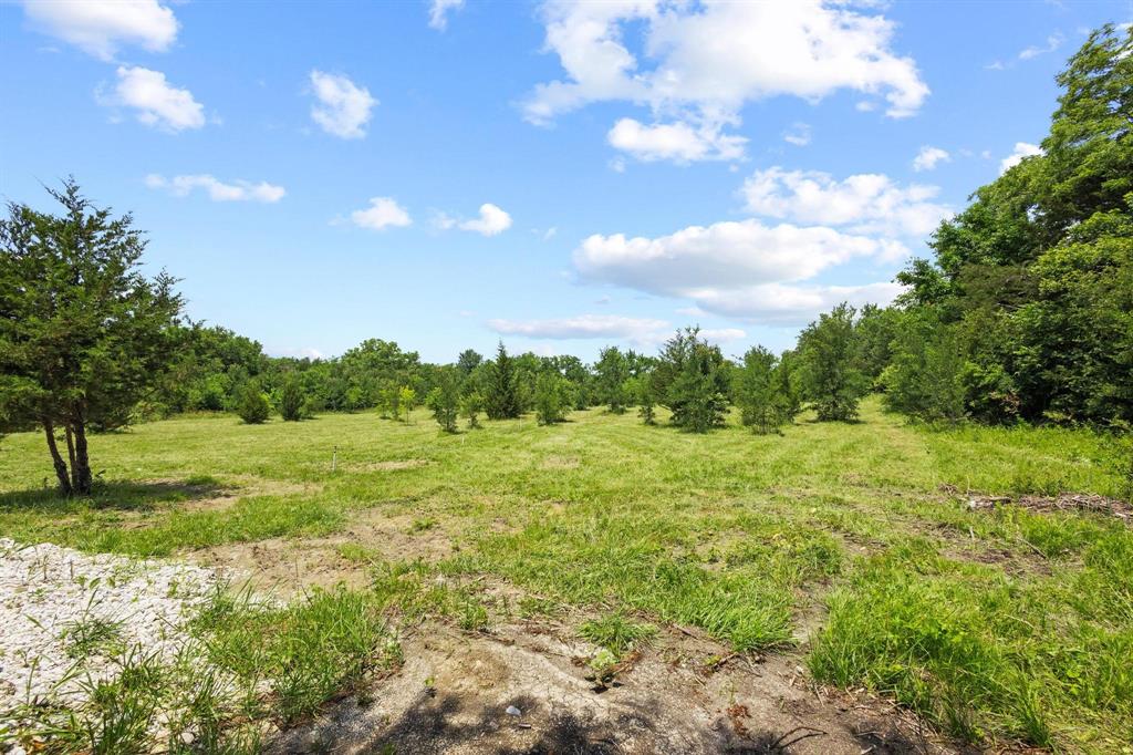 516 County Road Honey Grove, TX 75446 - Photo 25 of 27 a view of field with trees in the background