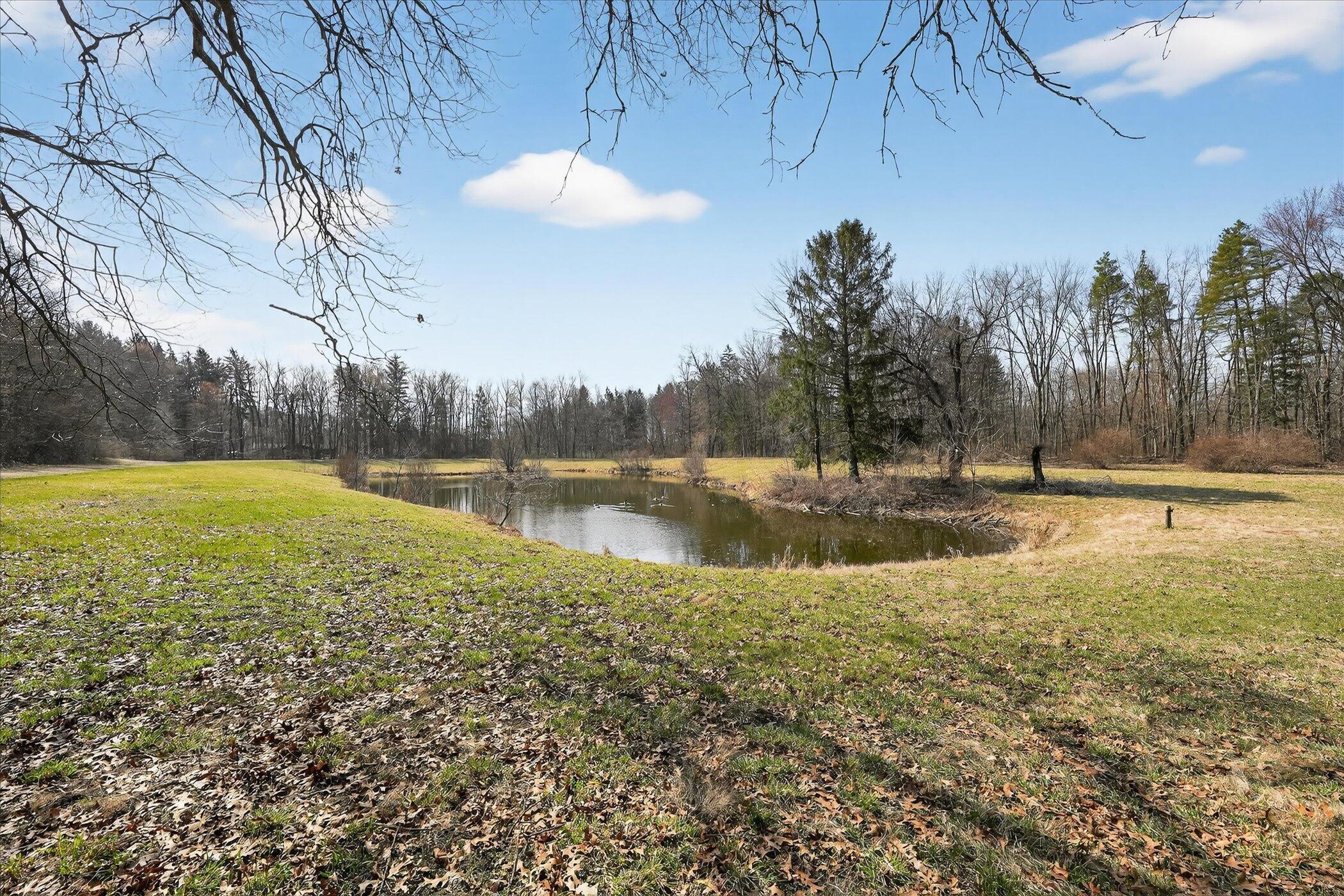 7091 Ann Arbor Road Jackson, MI 49201 - Photo 5 of 60 38-7091-Ann-Arbor-Rd-WindowStill - Copy