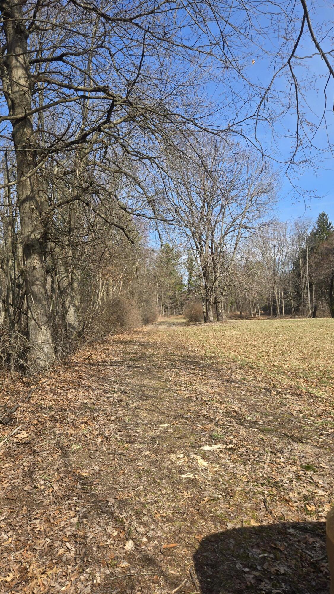 7091 Ann Arbor Road Jackson, MI 49201 - Photo 56 of 60 20260330_111243