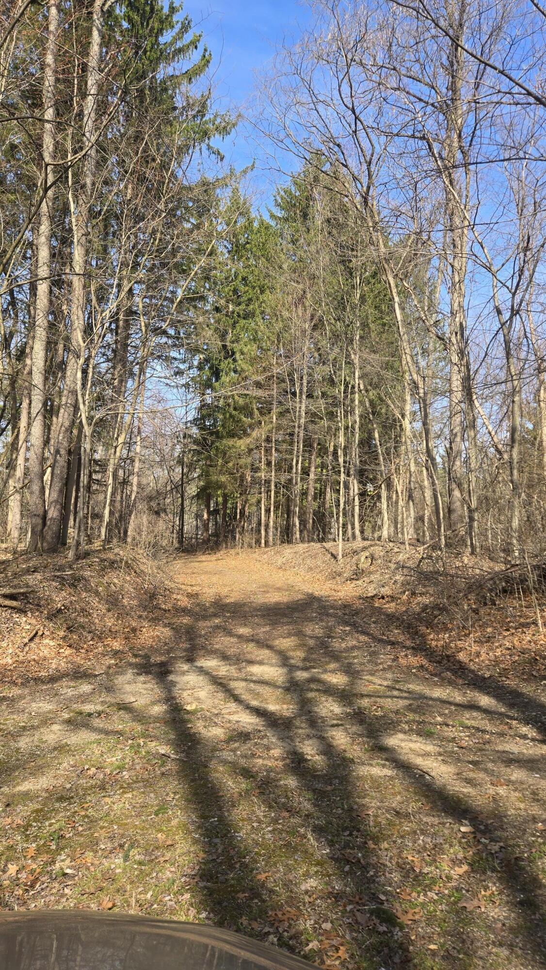 7091 Ann Arbor Road Jackson, MI 49201 - Photo 60 of 60 20260330_111813